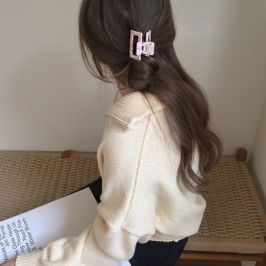 Hair Clips