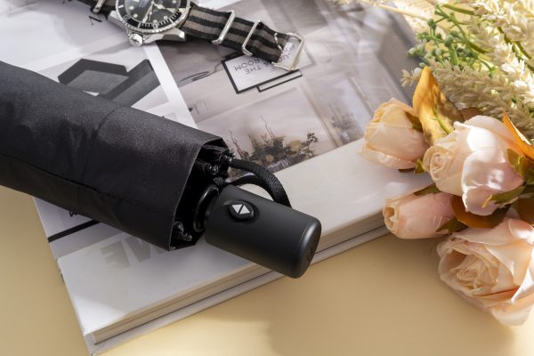 folding umbrella